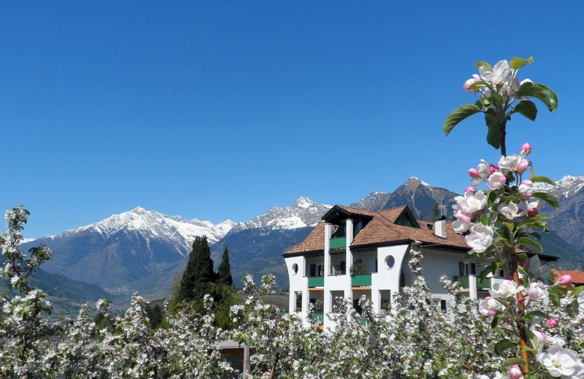 Hotel Verdorfer Meran